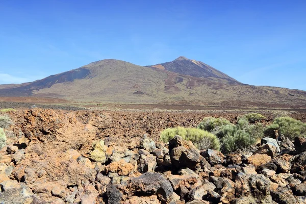 Tenerife landscape — Stock Photo, Image