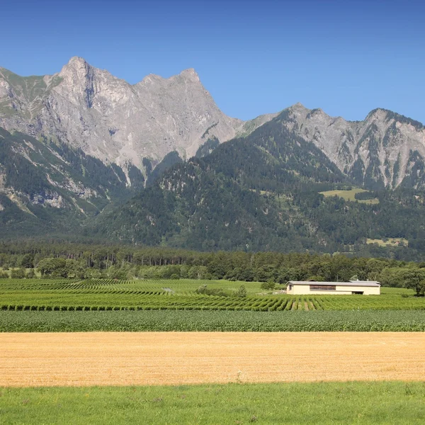 Alpen in Zwitserland — Stockfoto