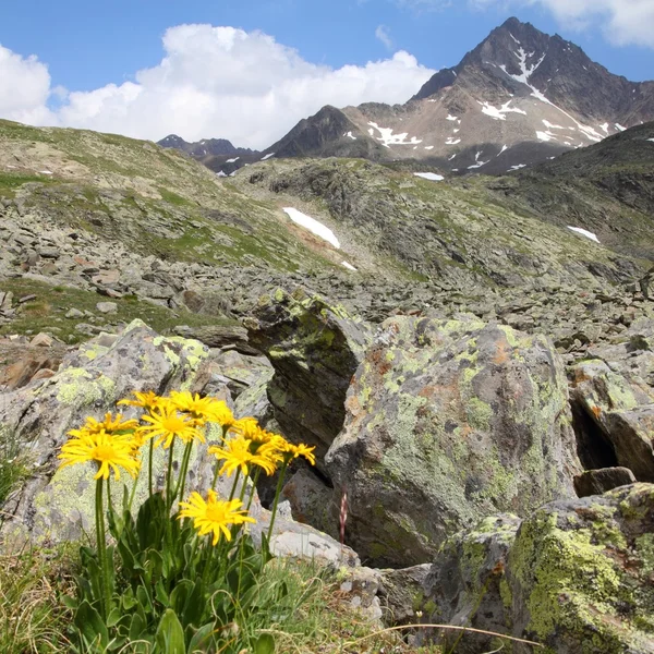 Alpes italianos — Fotografia de Stock