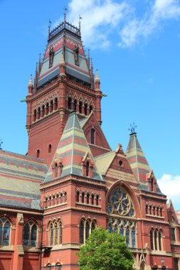 Harvard Üniversitesi