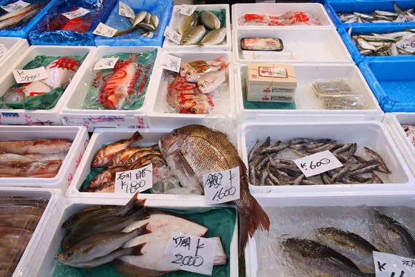 Mercato del pesce Tsukiji — Foto Stock