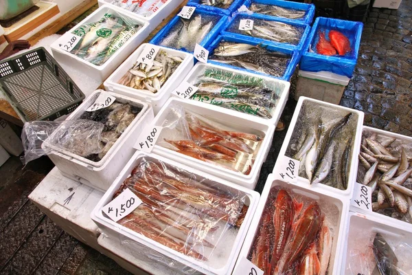 Japan vismarkt — Stockfoto