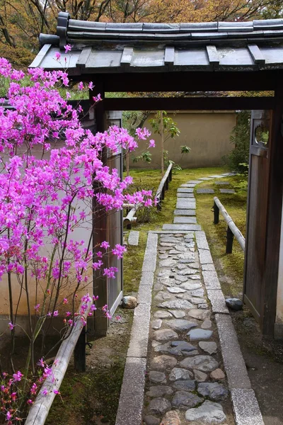 Kyoto — Stock Photo, Image