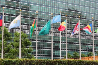 Birleşmiş Milletler