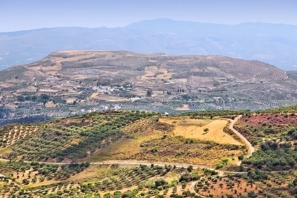 Kreta platteland — Stockfoto