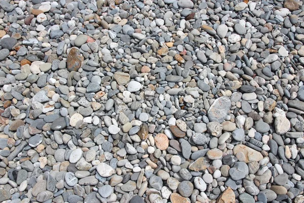 Pebble background — Stock Photo, Image