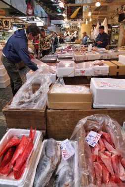 tsukiji balık pazarı