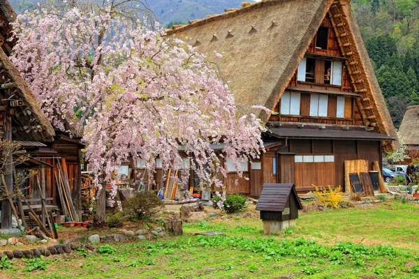 Japón. — Foto de Stock