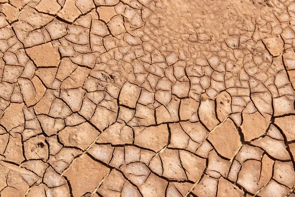 Cracked soil — Stock Photo, Image