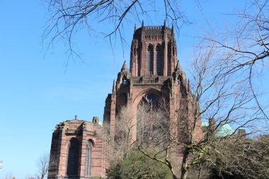 fenerbahçe katedrali