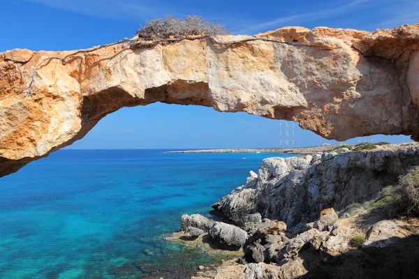 Kıbrıs doğa — Stok fotoğraf