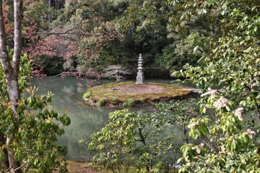 Japonya - kyoto