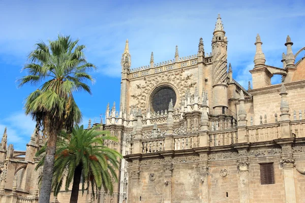 Domkyrkan i Sevilla Royaltyfria Stockfoton