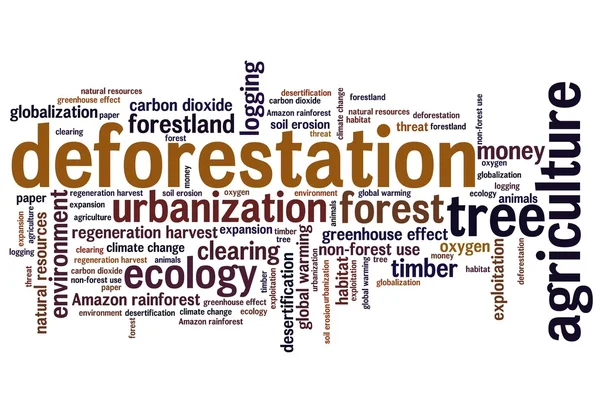 Deforestation — Stock Photo, Image