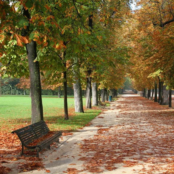 Herbst — Stockfoto