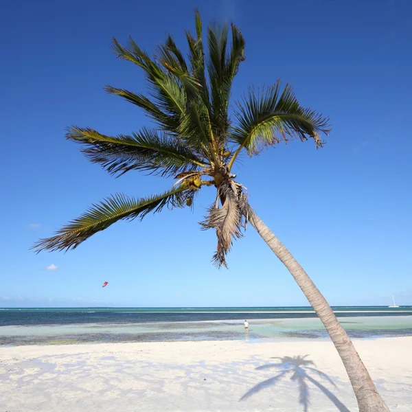 Cuba strand — Stockfoto