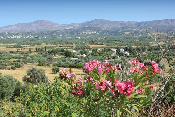 Crete — Stock Photo, Image