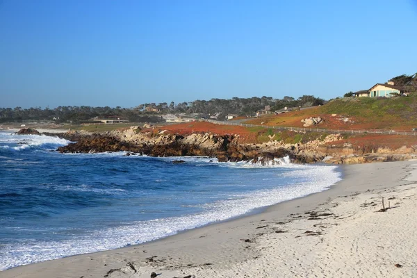 California beach — Zdjęcie stockowe