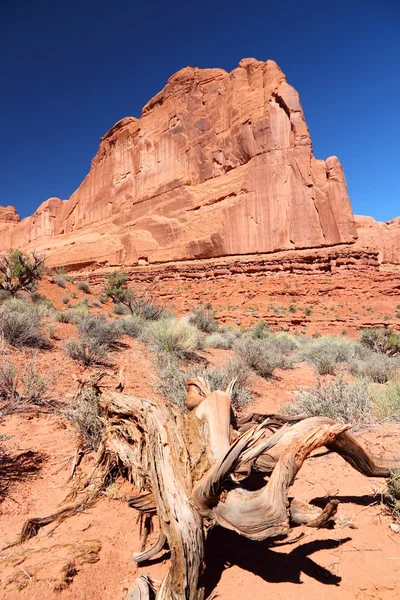 Arches, Estados Unidos — Foto de Stock