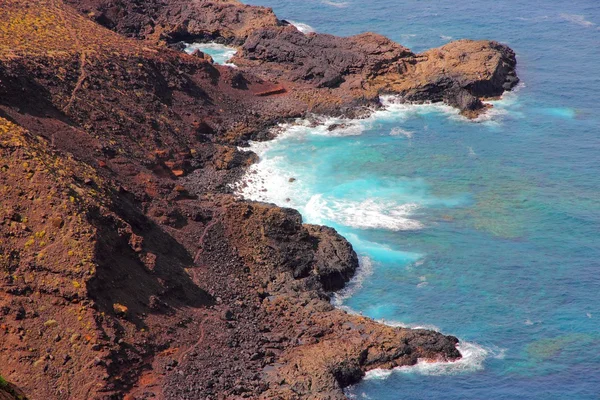 Natureza de tenerife — Fotografia de Stock