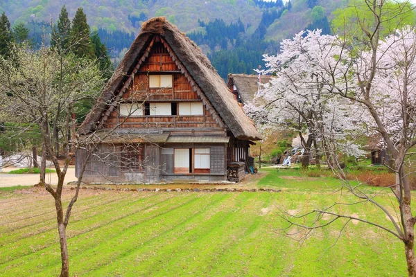 Japán falu — Stock Fotó