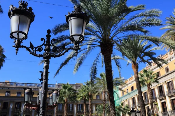 西班牙巴塞罗那Barri Gotic区的Placa Reial镇广场上有棕榈树 专注于装饰铁制路灯 — 图库照片