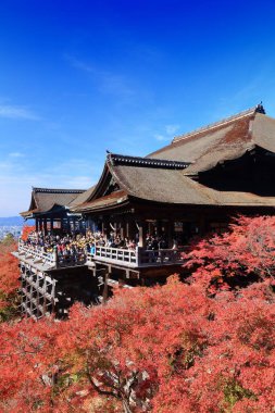 KYOTO, JAPONYA - 26 Kasım 2016: İnsanlar Japonya 'nın Kyoto kentindeki Kiyomizu Dera Tapınağını ziyaret ediyor. Kyoto 'nun 17 UNESCO Dünya Mirası Alanı var.