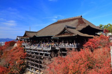 KYOTO, JAPONYA - 26 Kasım 2016: Japonya 'daki Kiyomizu Dera Tapınağını ziyaret eden turistler. Kyoto 'nun 17 UNESCO Dünya Mirası Alanı var.