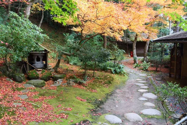 Japanischer Garten Nara Japan Herbstfarbe Yoshikien Garden Nara — Stockfoto