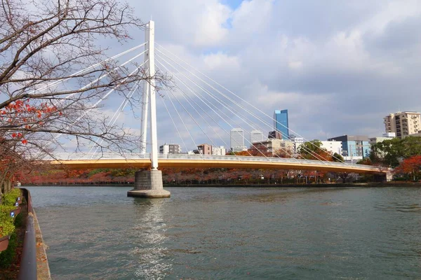 Osaka Japan November 2016 Modern Kawasaki Pedestrian Foot Bridge River — Stock Photo, Image