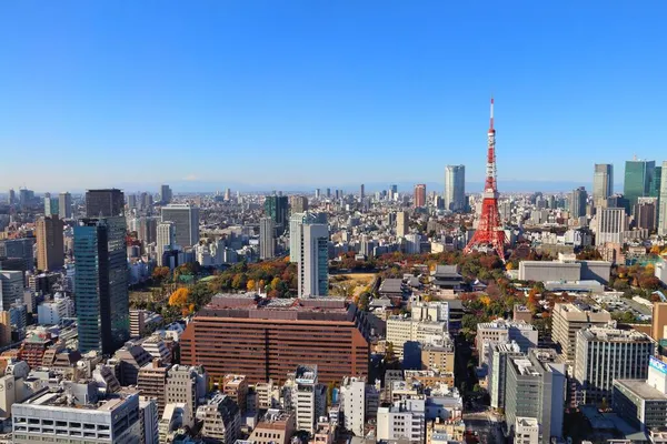 Tokio Japonsko Prosince 2016 Tokijská Městská Krajina Slavnou Tokijskou Věží — Stock fotografie