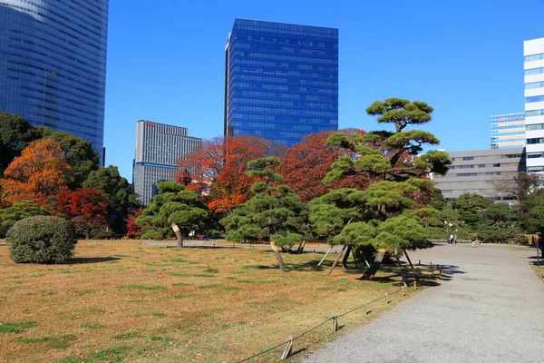 Tokyo Japon Décembre 2016 Skyline Automne Partir Hama Rikyu Gardens — Photo
