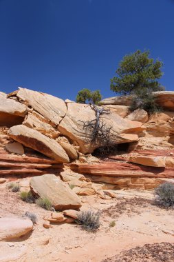 Canyonlands Milli Parkı