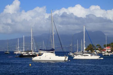 Guadeloupe - Les Saintes adaları. Terre de Haut yat limanı şamandıraları..