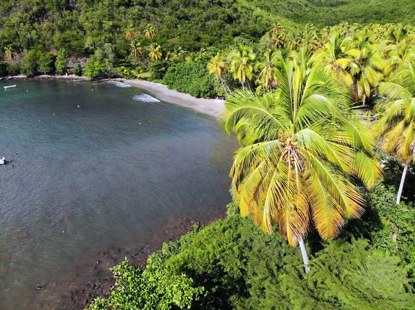 Вид Природу Пляжа Гваделупы Дрона Вид Воздуха Бухту Мариготе — стоковое фото