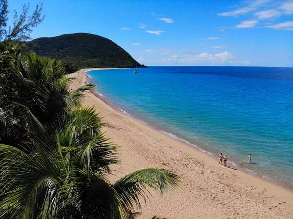 Guadalupe Vista Playa Drones Paisaje Caribeño Grande Anse Playa Arena — Foto de Stock