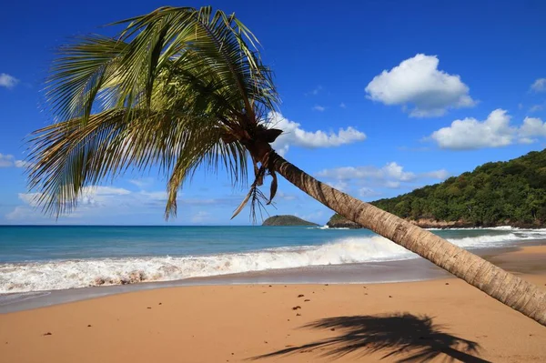 Guadalupe Playa Arena Paisaje Caribeño Playa Perle Plage Perle Isla — Foto de Stock