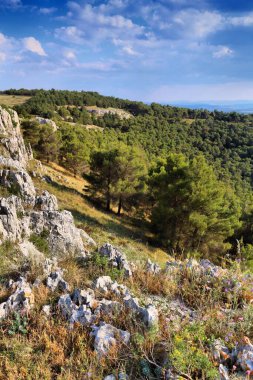 İtalya 'daki ulusal park. Pulicchio di Gravina - Murge platosunda (Altopiano delle Murge) subatan. Alta Murgia Ulusal Parkı.