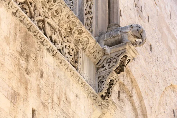 Elephant Bari Italy Decoration Bari Cathedral Surrounded Pigeon Spikes — Stock Photo, Image