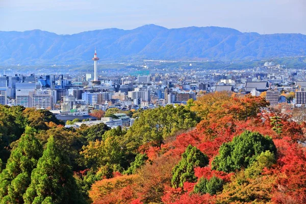 Кіотський Осінній Пейзаж Японії Осіннє Листя Місто Кіото Японія — стокове фото