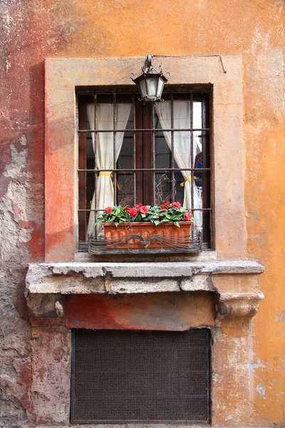 Rom Italien Architektonisches Merkmal Altes Fenster Mit Neuguinea Ungeduldig Blumenkasten — Stockfoto