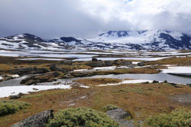 Norveç doğası - Jotunheimen dağları yaz manzarası. So gnefjellet dağ sırası.