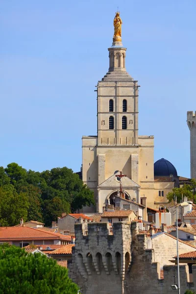Avignon Katedrali Unesco Avignon Fransa Anıtını Listeledi — Stok fotoğraf