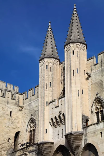 Palais Des Papes Palacio Los Papas Monumento Declarado Por Unesco — Foto de Stock