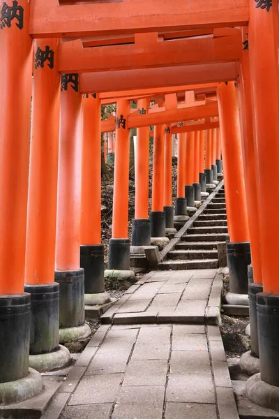 Kyoto Japón Noviembre 2016 Puertas Torii Del Santuario Fushimi Inari —  Fotos de Stock