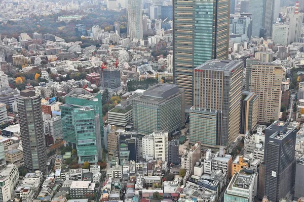 2016年12月1日 东京中城区的城市空中景观 东京是日本的首都 780万人居住在市区 — 图库照片