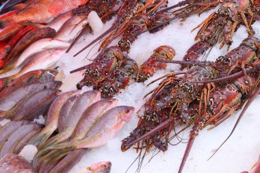 Guadeloupe balık pazarı Pointe a Pitre 'de, Guadeloupe' un en büyük şehri. Kırmızı levrek, çipura ve langouste (dikenli ıstakoz).