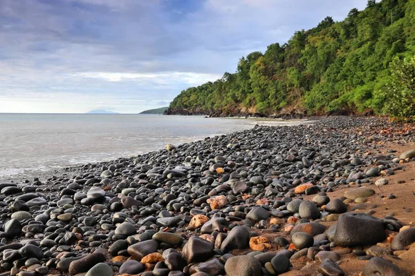 Guadeloupe Svart Sandstrand Karibiskt Semesterlandskap Solnedgång Vid Plage Caraibe Stranden — Stockfoto