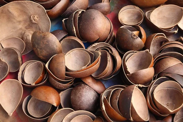 Guadeloupe Market Pointe Pitre Biggest City Guadeloupe Calabash Shell Halves — Stock Photo, Image