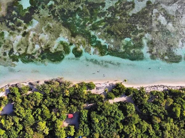 グアドループサンゴ礁無人偵察機の航空ビュー ボーイ ジョラン ビーチ 美しいグアドループの風景 — ストック写真